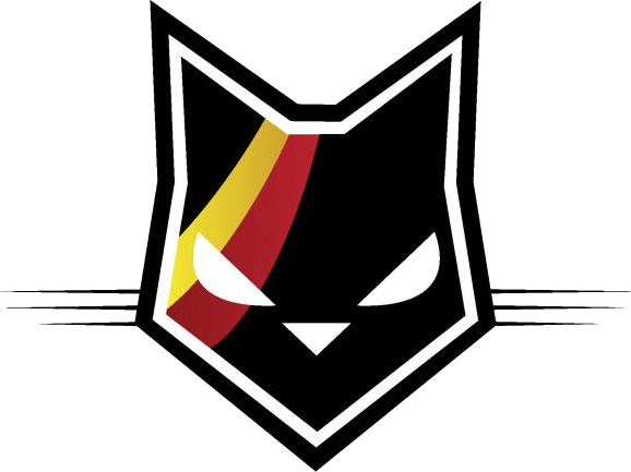Van Hulle Piet Basketball Belgium